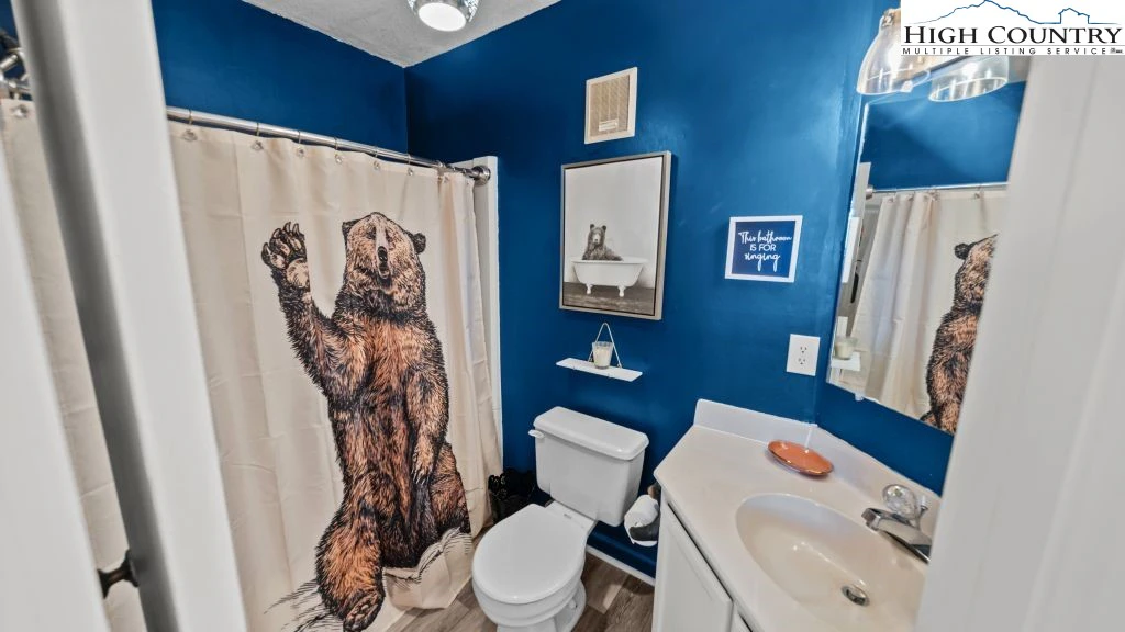Image number 4 for the current listing