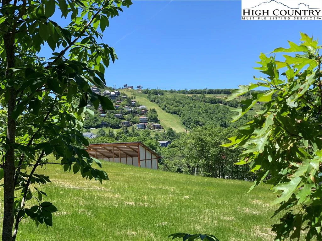 Image number 19 for the current listing