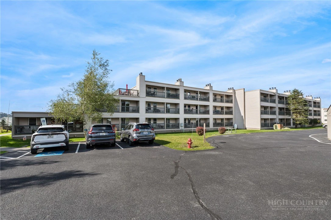 Image number 2 for the current listing