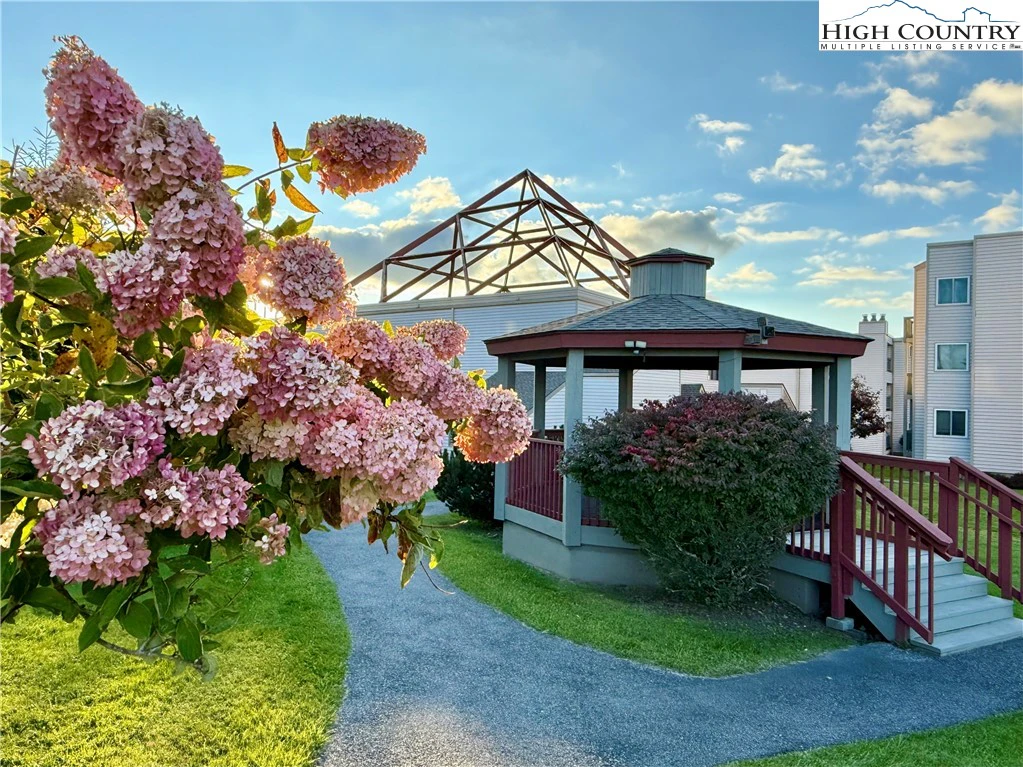 Image number 1 for the current listing