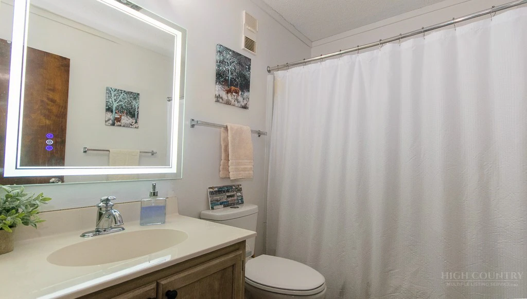 Image number 7 for the current listing