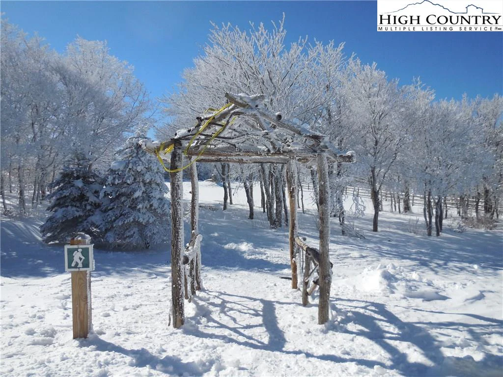 Image number 5 for the current listing