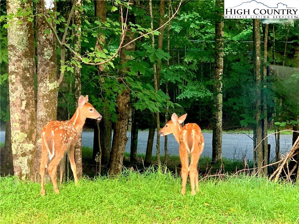 Image number 6 for the current listing