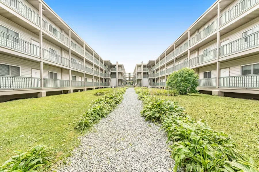 Image number 2 for the current listing