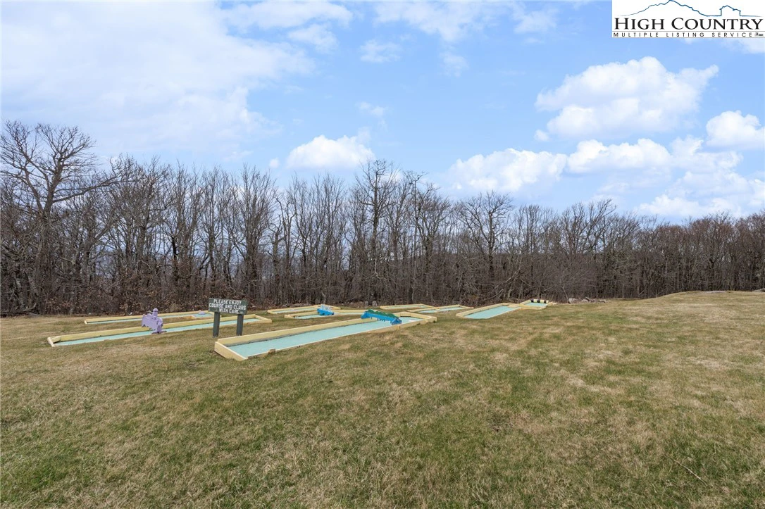 Image number 5 for the current listing