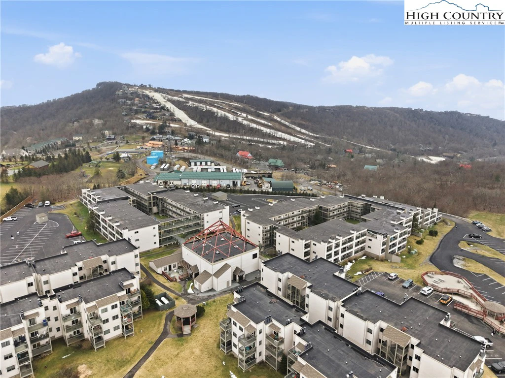 Image number 14 for the current listing