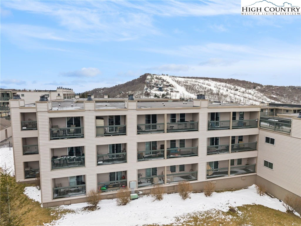 Image number 7 for the current listing