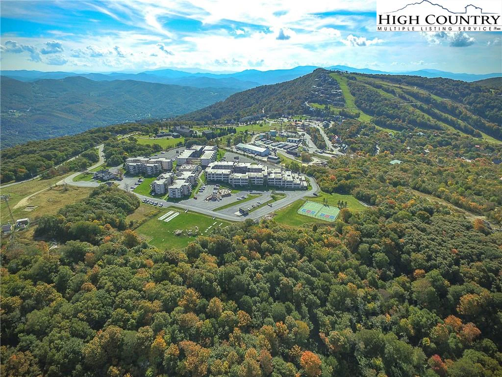 Image number 1 for the current listing