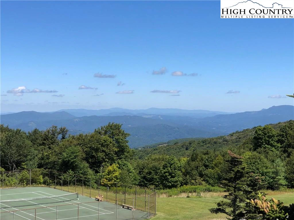 Image number 1 for the current listing