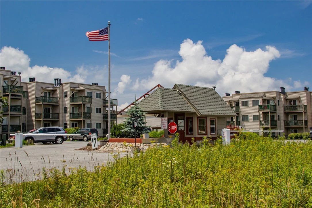 Image number 4 for the current listing