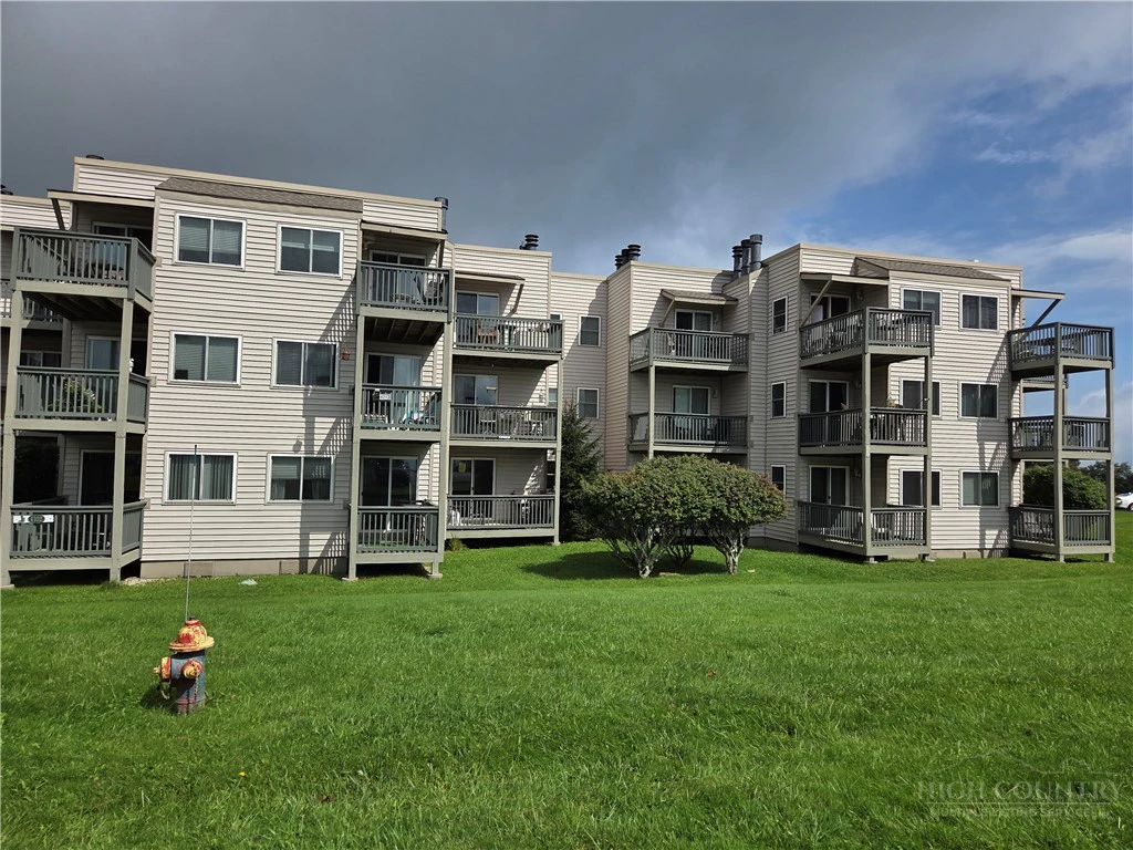 Image number 2 for the current listing