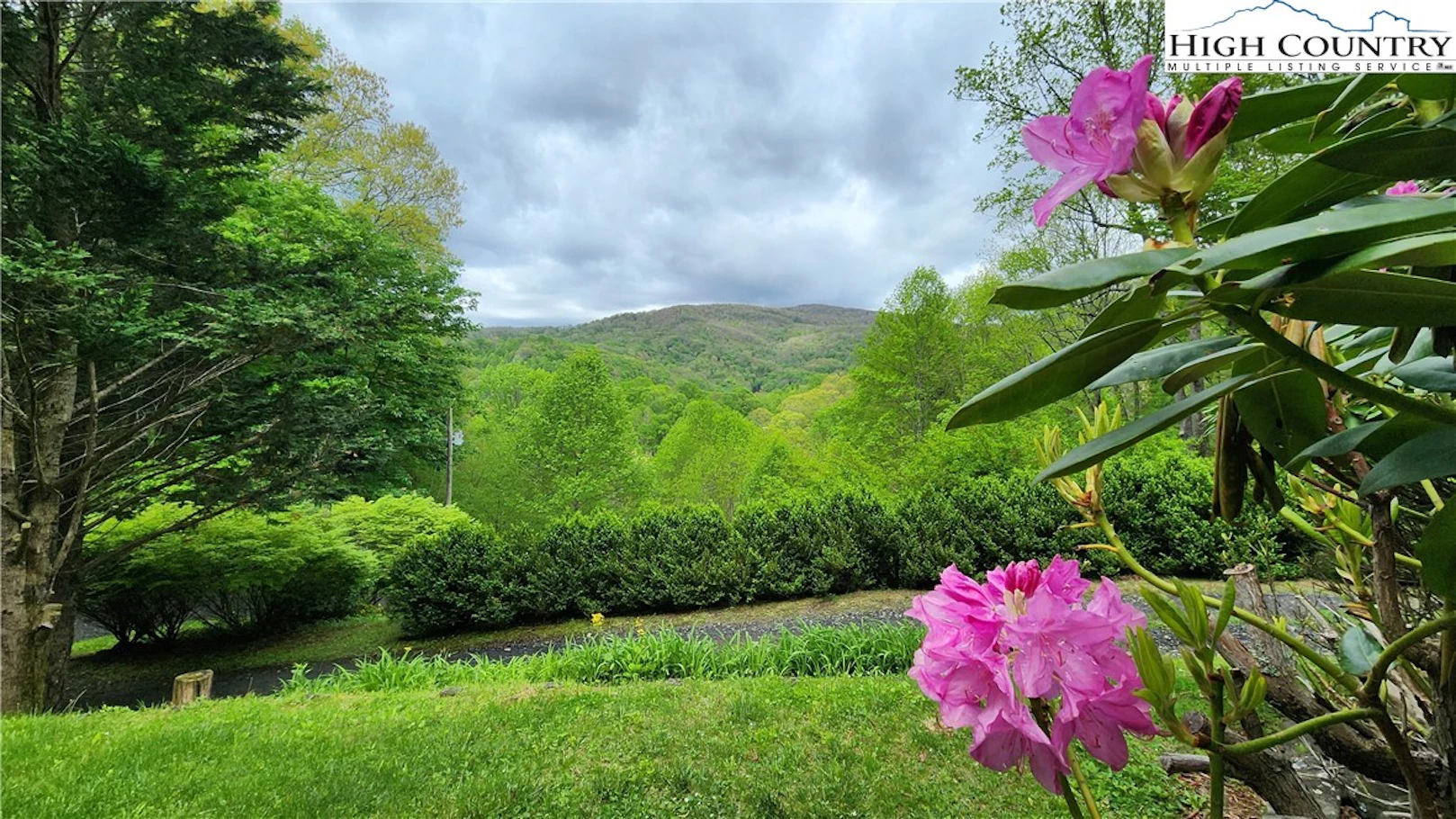 Image number 17 for the current listing