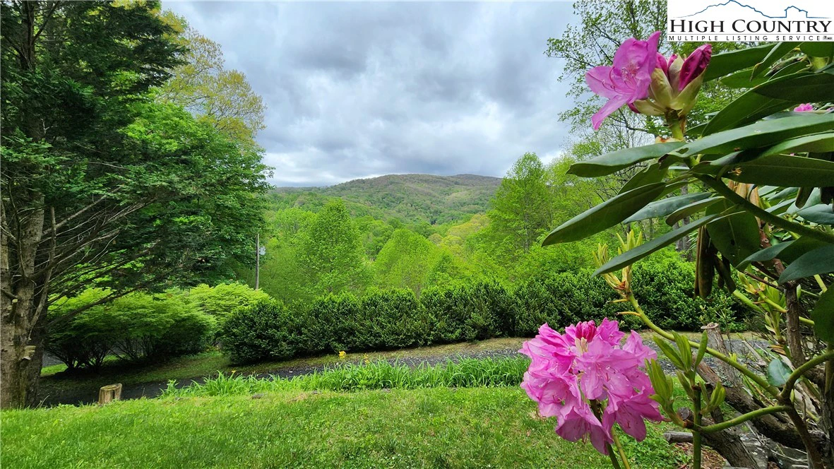 Image number 17 for the current listing