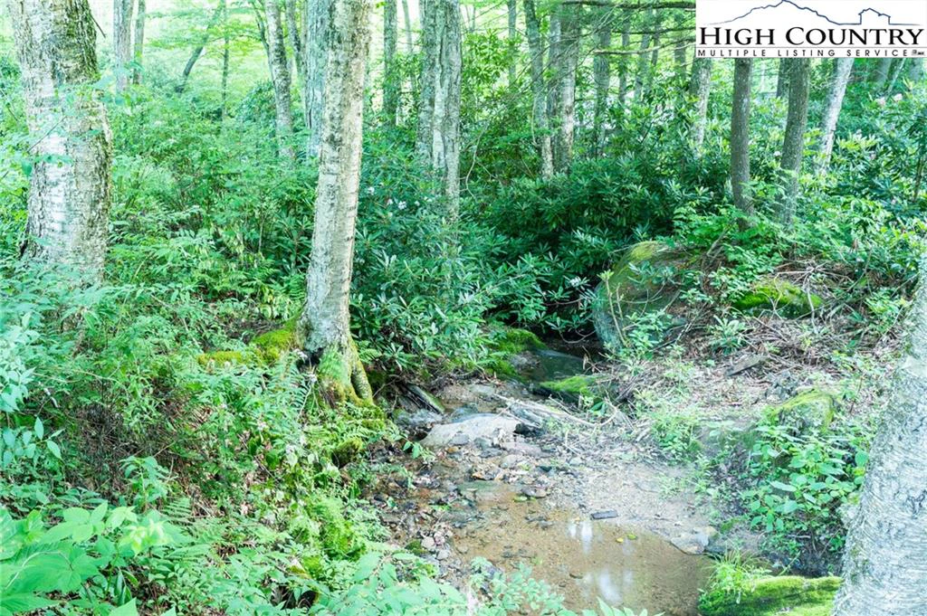 Image number 17 for the current listing