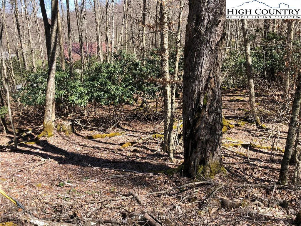Image number 1 for the current listing