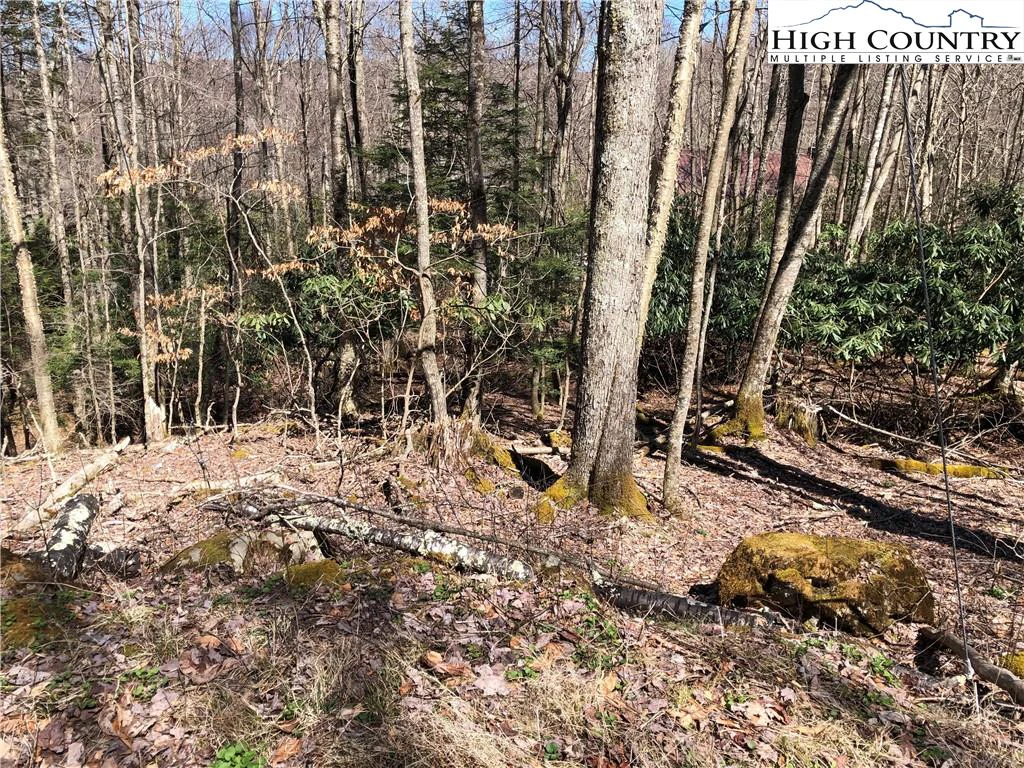 Image number 3 for the current listing