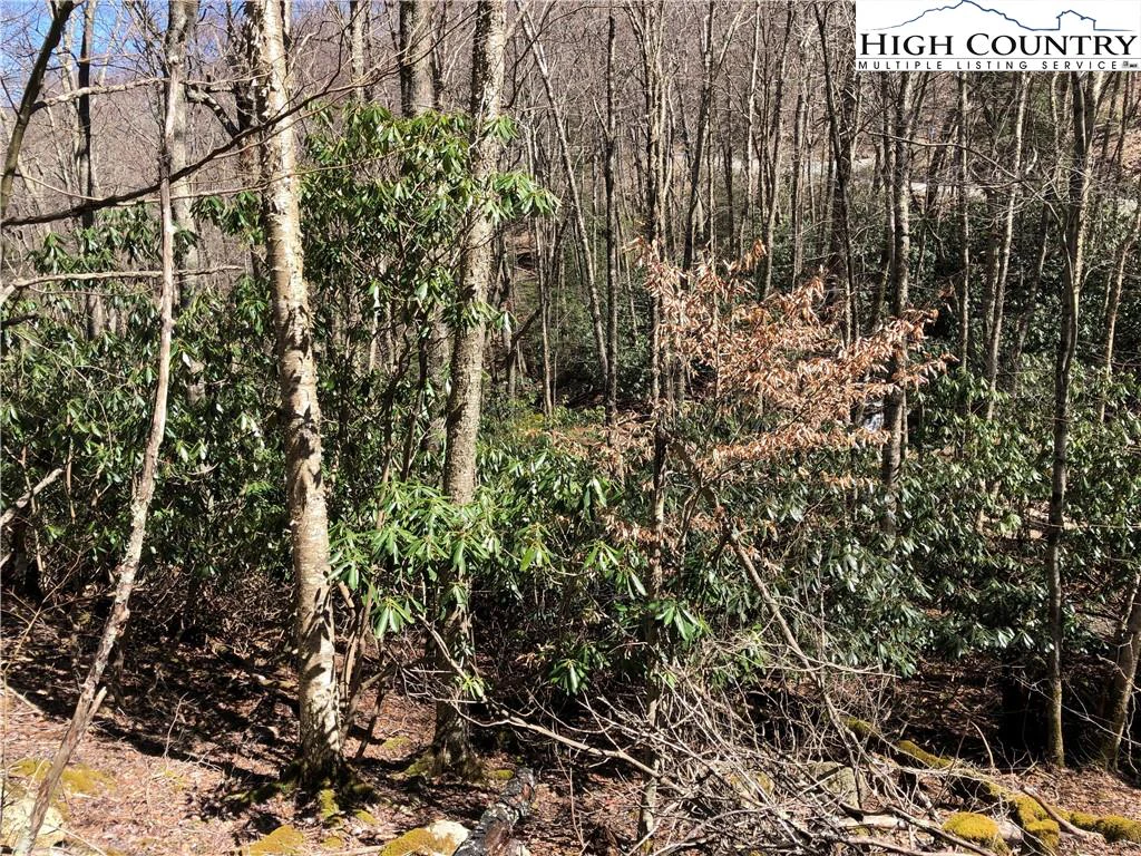 Image number 4 for the current listing