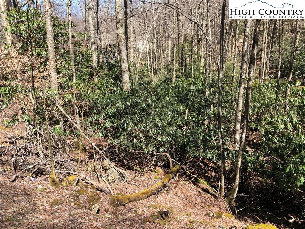 Image number 6 for the current listing