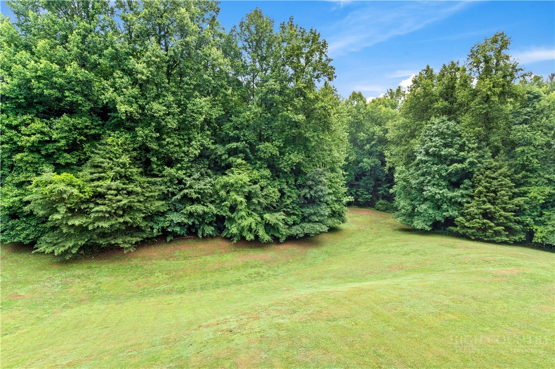 Image number 12 for the current listing