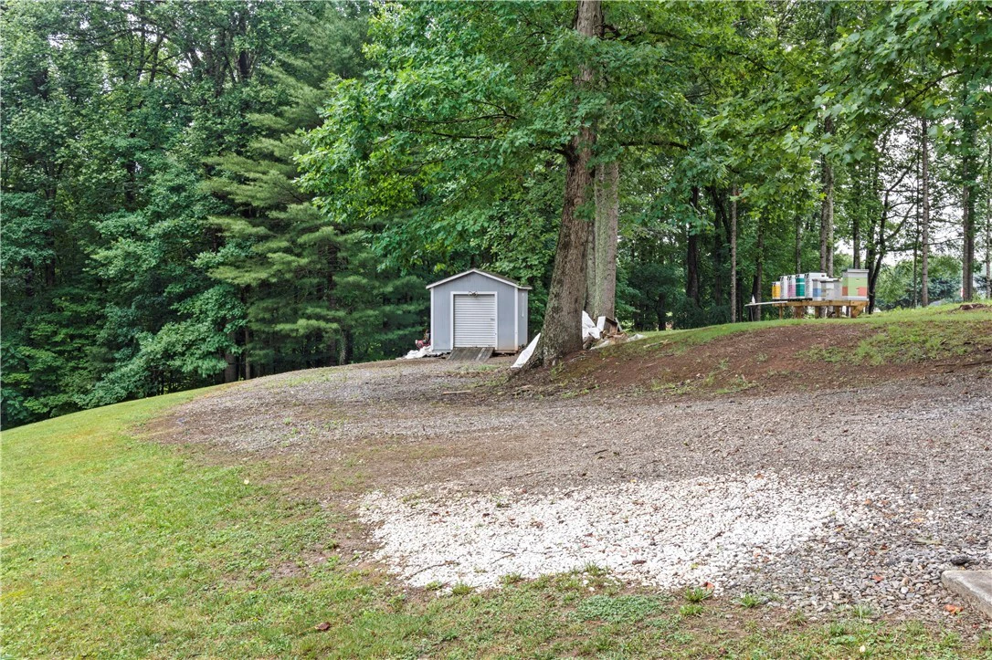 Image number 17 for the current listing