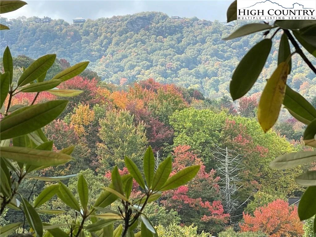 Image number 1 for the current listing