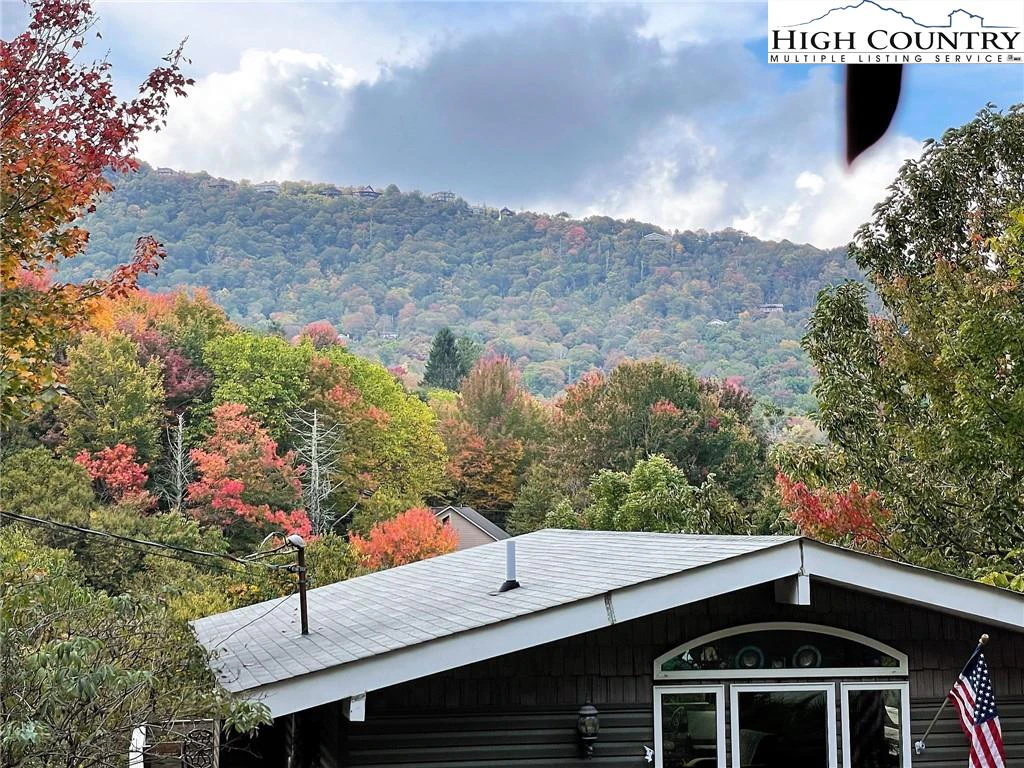 Image number 4 for the current listing