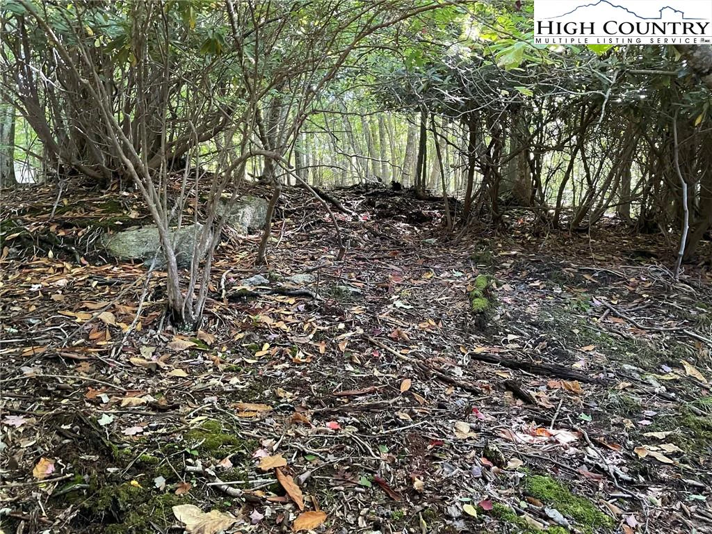 Image number 5 for the current listing