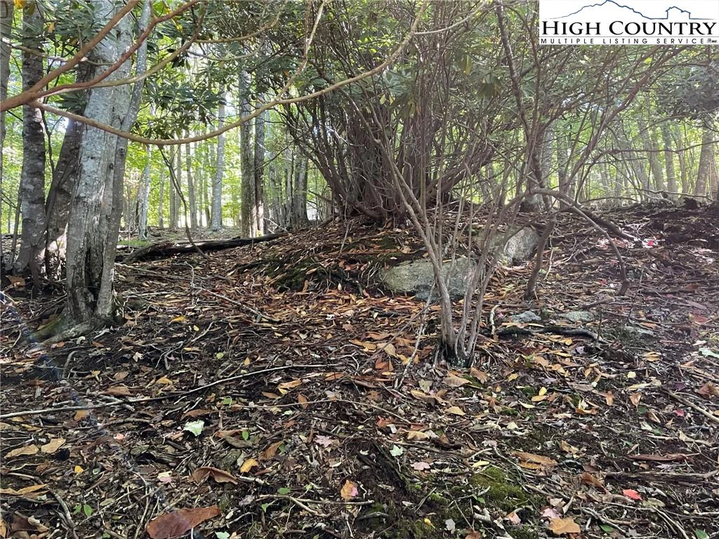 Image number 7 for the current listing