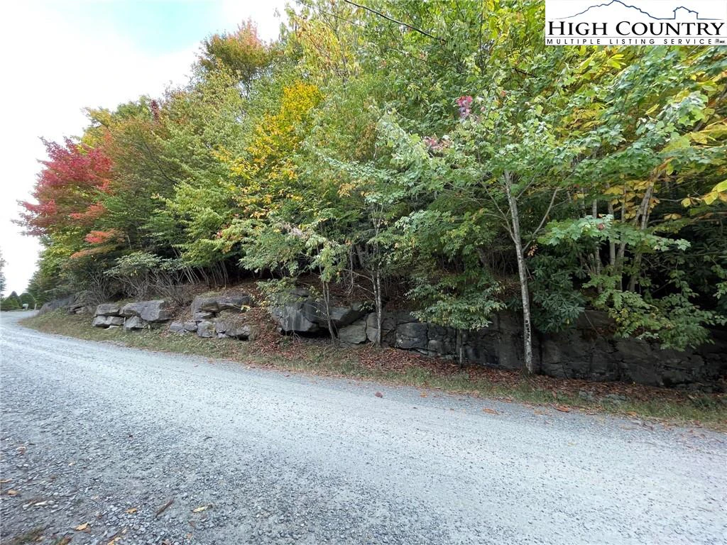 Image number 9 for the current listing