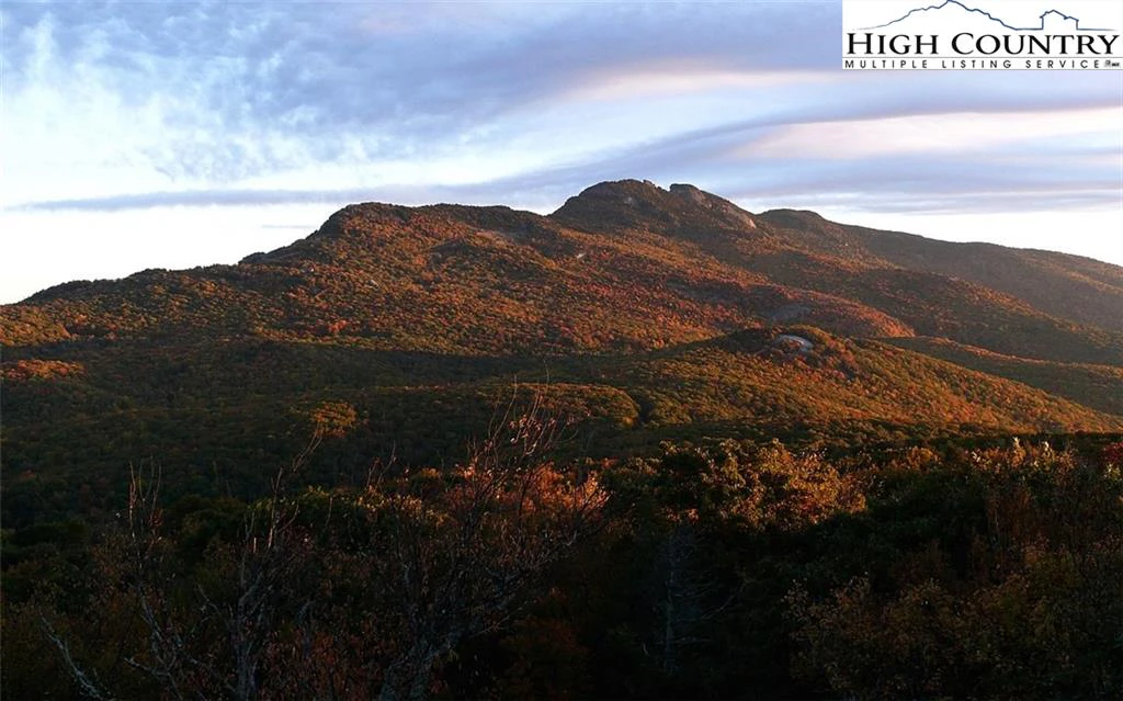 Image number 1 for the current listing