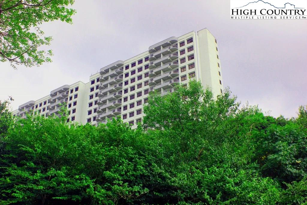 Image number 6 for the current listing