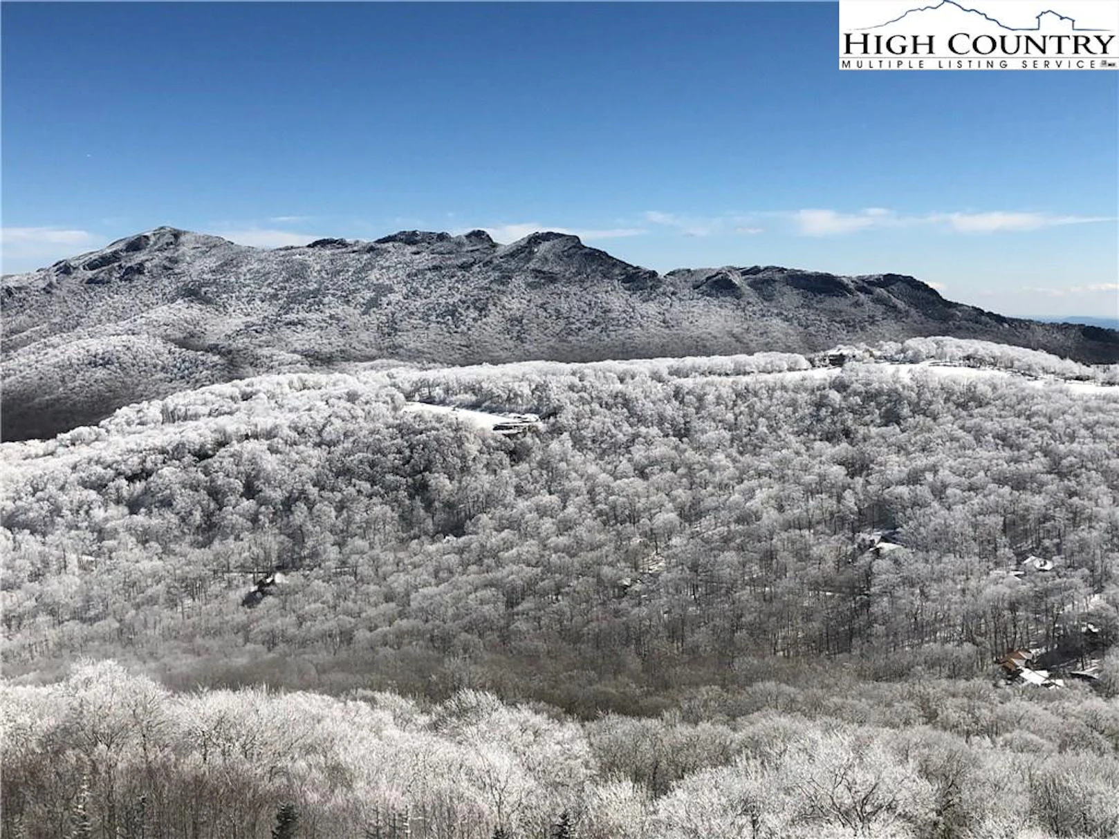 Image number 1 for the current listing