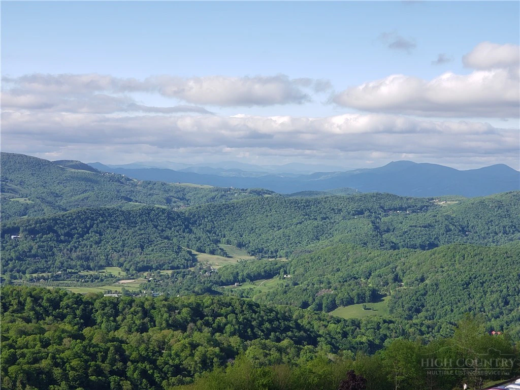 Image number 4 for the current listing