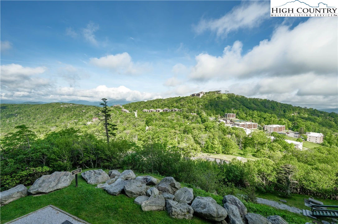 Image number 5 for the current listing