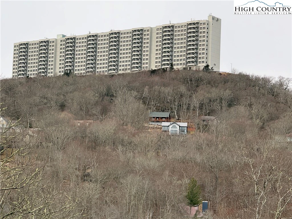 Image number 3 for the current listing