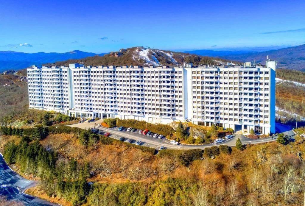 Image number 1 for the current listing