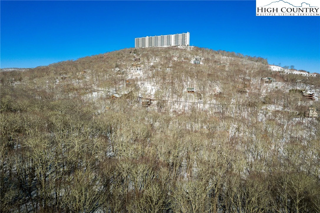 Image number 4 for the current listing