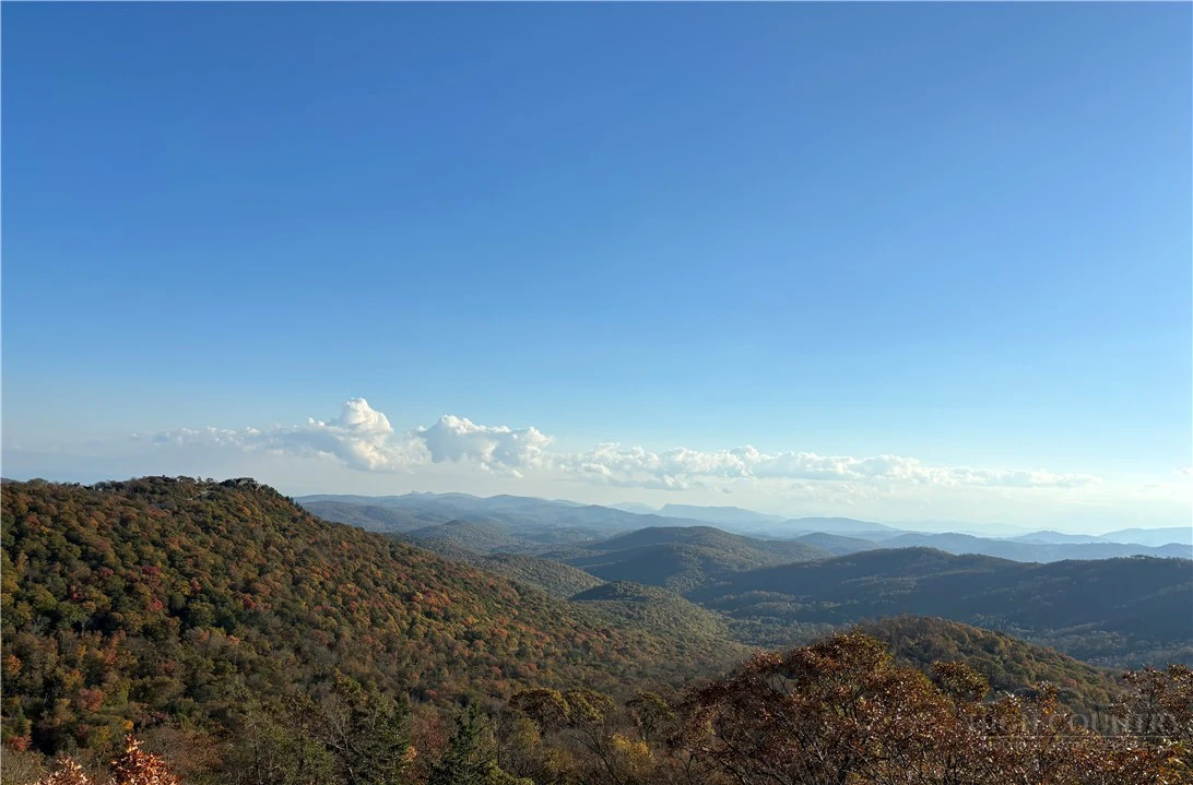 Image number 1 for the current listing