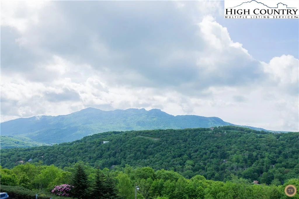 Image number 1 for the current listing