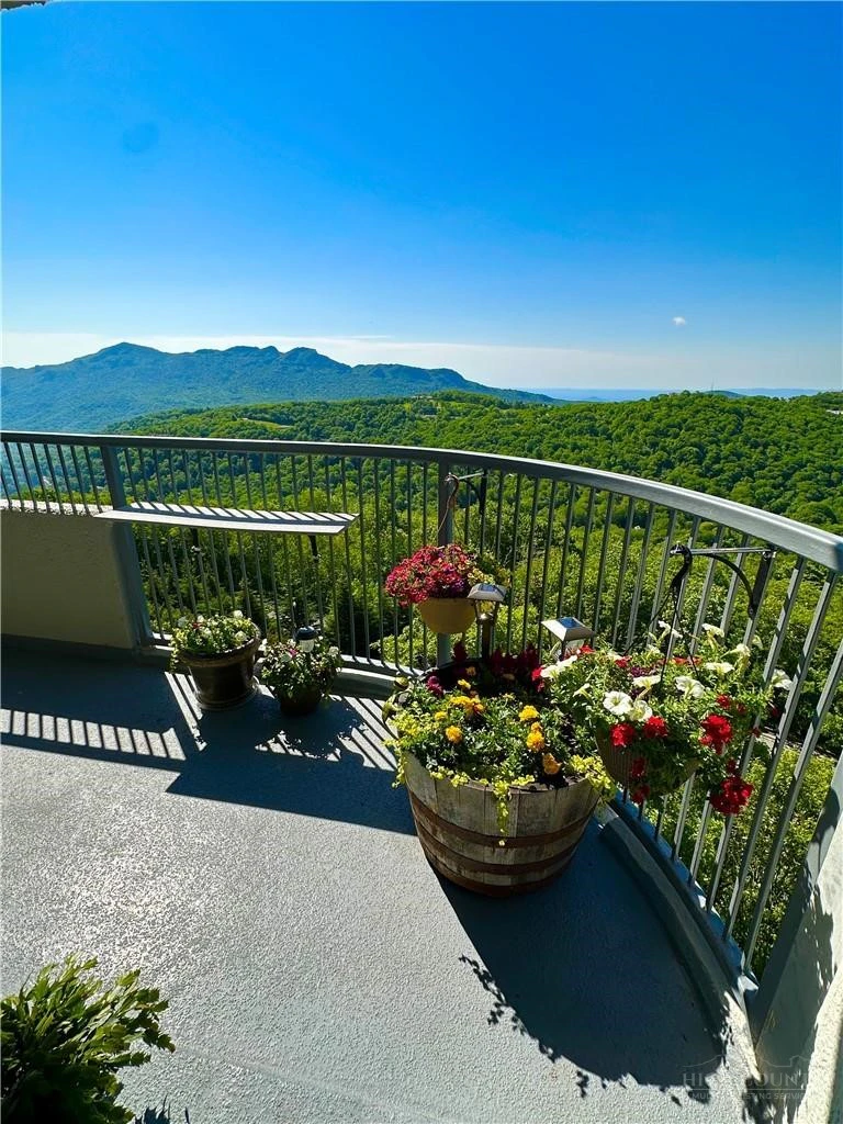 Image number 17 for the current listing