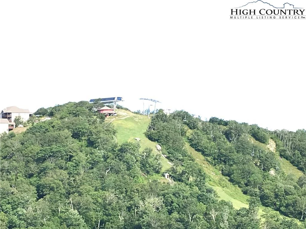 Image number 1 for the current listing