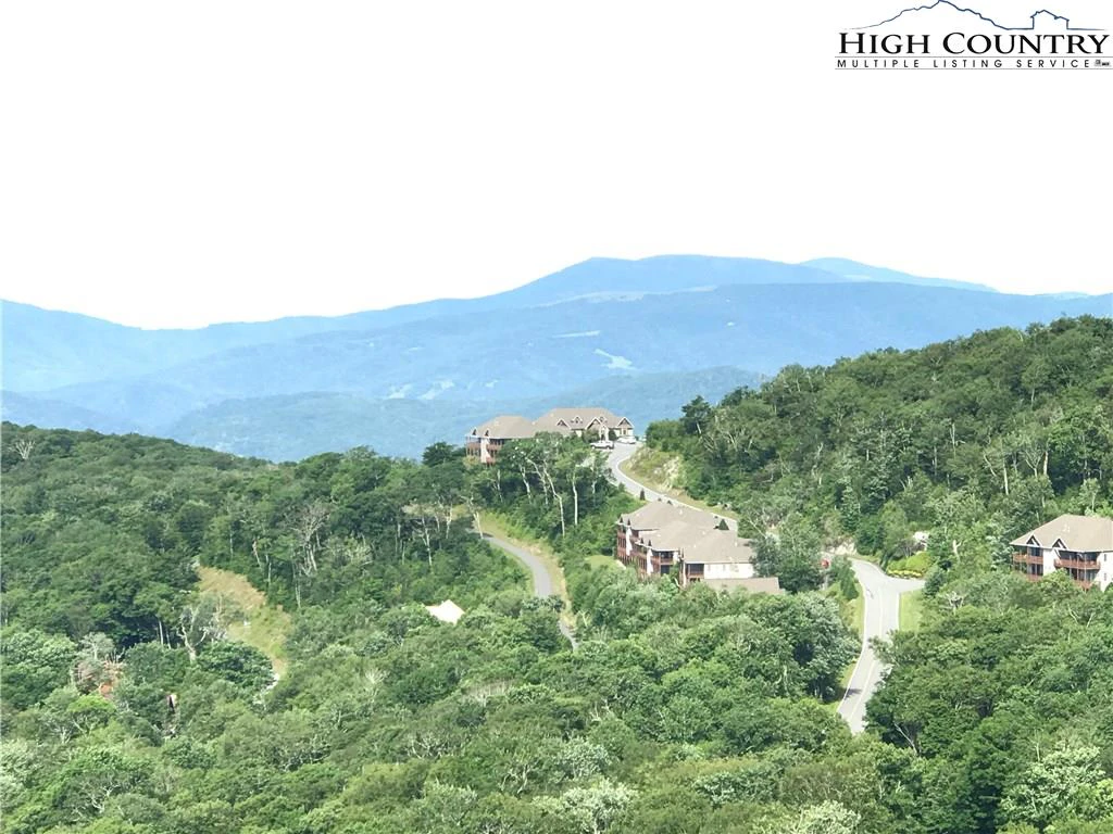 Image number 4 for the current listing