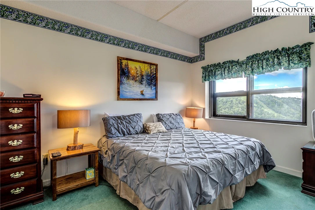 Image number 12 for the current listing