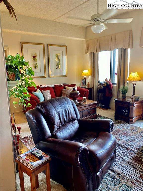 Image number 7 for the current listing