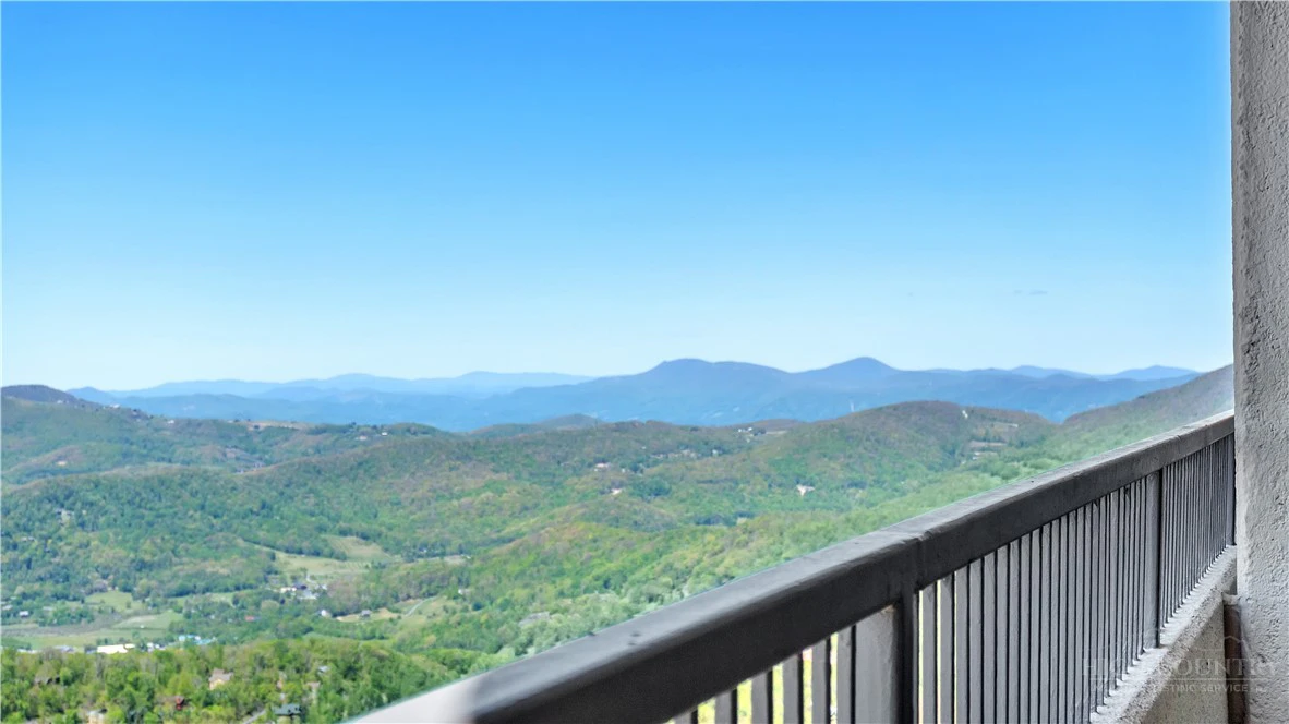 Image number 1 for the current listing