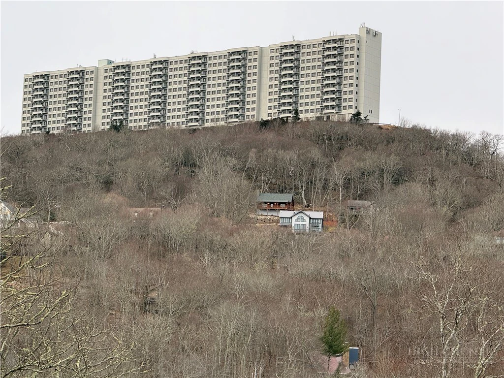 Image number 2 for the current listing