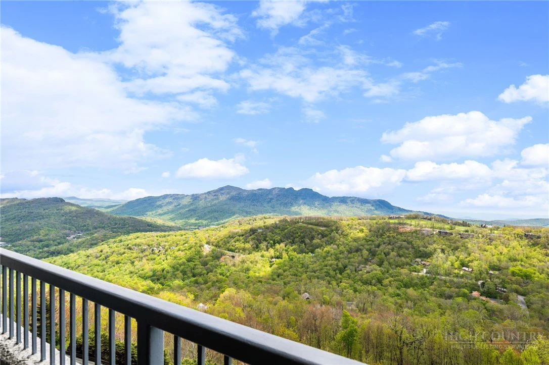 Image number 2 for the current listing