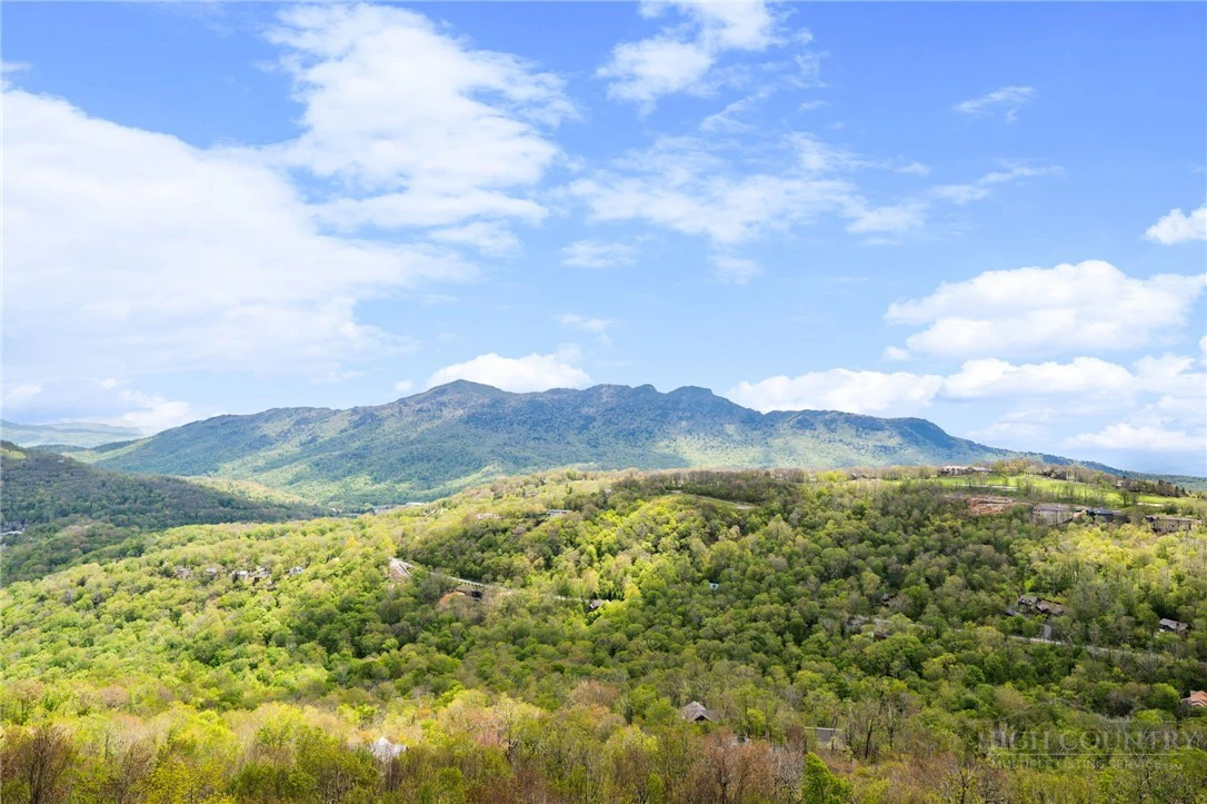 Image number 9 for the current listing