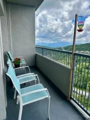 Image number 9 for the current listing