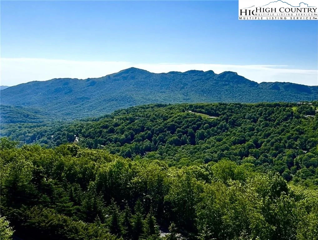 Image number 1 for the current listing